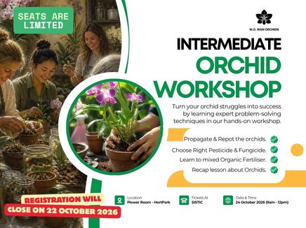 Orchid Workshop for Intermediate (Flower Room @ Hortpark) [General]